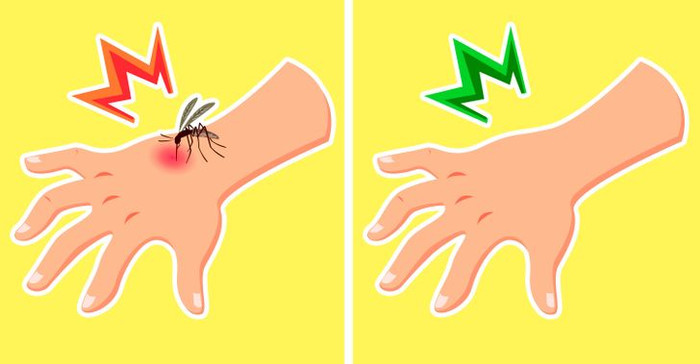 Bất ngờ với 6 công dụng làm đẹp và chăm sóc sức khỏe thần kỳ của trà túi lọc Ảnh 8