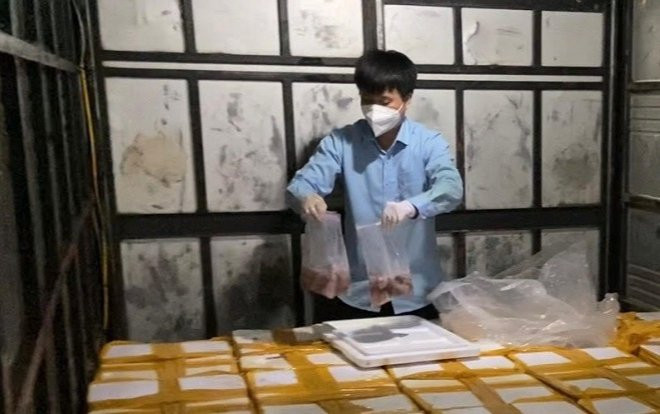 Gần 2.000kg cá khoai ngậm phoóc-môn 'sa lưới' khi đang bán đến tay người tiêu dùng Ảnh 2