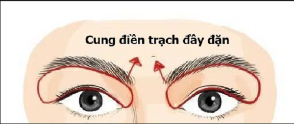 Ví trí của cung Điền Trạch.