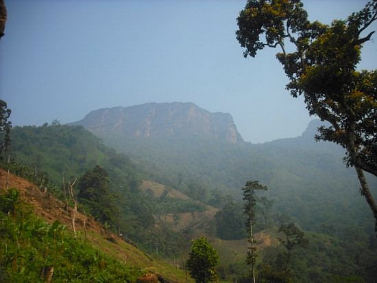 Khu bảo tồn thiên nhiên Xuân Nha có đầy đủ các điều kiện thuận lợi để phát triển du lịch sinh thái