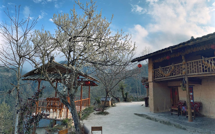 'Đà Lạt phía Bắc' mùa hoa nở và cuộc gặp gỡ đầy ý nghĩa của nhóm bạn ngấp nghé tuổi 30 Ảnh 2