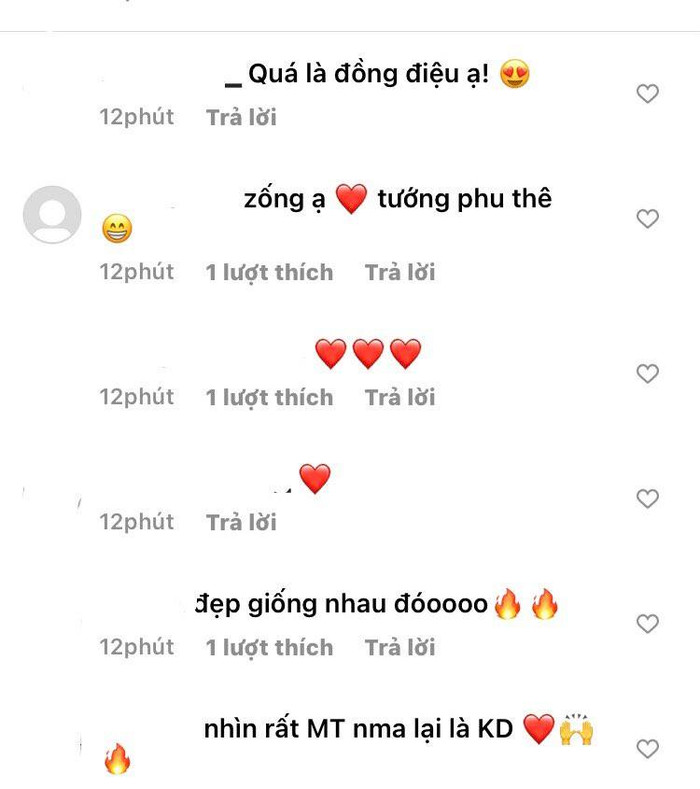 Nhiều khán giả nhận xét cả hai có nhiều nét phu thê. 