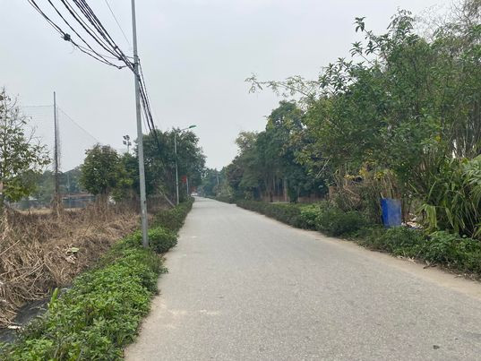 Con đường dẫn vào nhà các nạn nhân