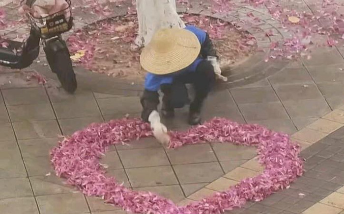 Thấy sân trường cánh hoa rụng đầy, cô lao công liền có hành động khiến ai cũng xuýt xoa Ảnh 2