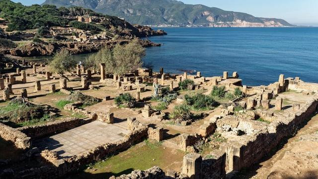 (Ảnh: Adobe Stock)