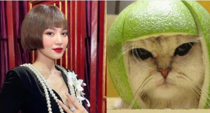 Lan Ngọc liên tục cập nhật những khoảnh khắc 'khó đỡ'.