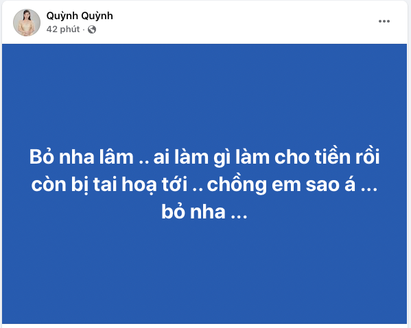 Bài đăng của Quỳnh Quỳnh - bà xã Lê Dương Bảo Lâm.