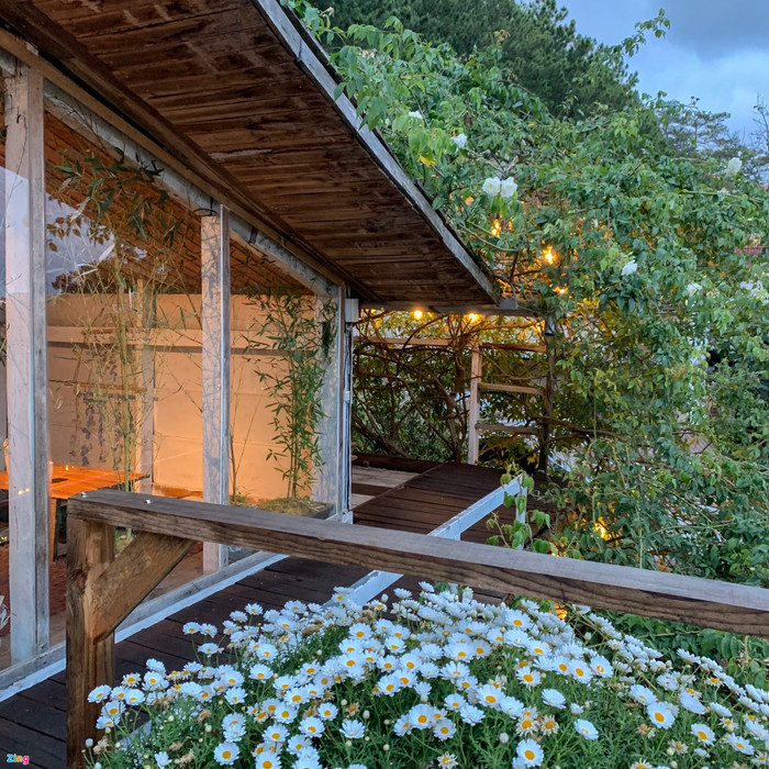 3 địa điểm 'chill' giữa rừng núi ở Đà Lạt Ảnh 8