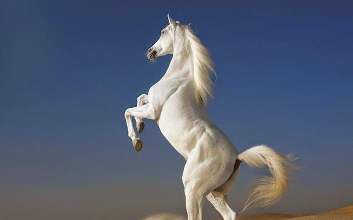 4 con giáp vận đào hoa và cung tài lộc nở rộ trong tháng 2 âm lịch này Ảnh 2