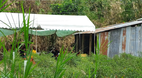 Ngôi nhà xảy ra vụ việc