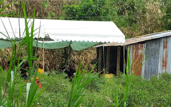 Nam thanh niên 22 tuổi sát hại cha ruột rồi kéo xác ra luống đất gần nhà phi tang Ảnh 2