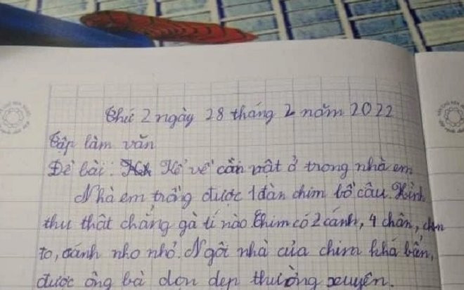 Bé trai làm văn tả con vật nuôi trong nhà, ngay câu đầu tiên đã khiến nhiều người cười ngả nghiêng Ảnh 2