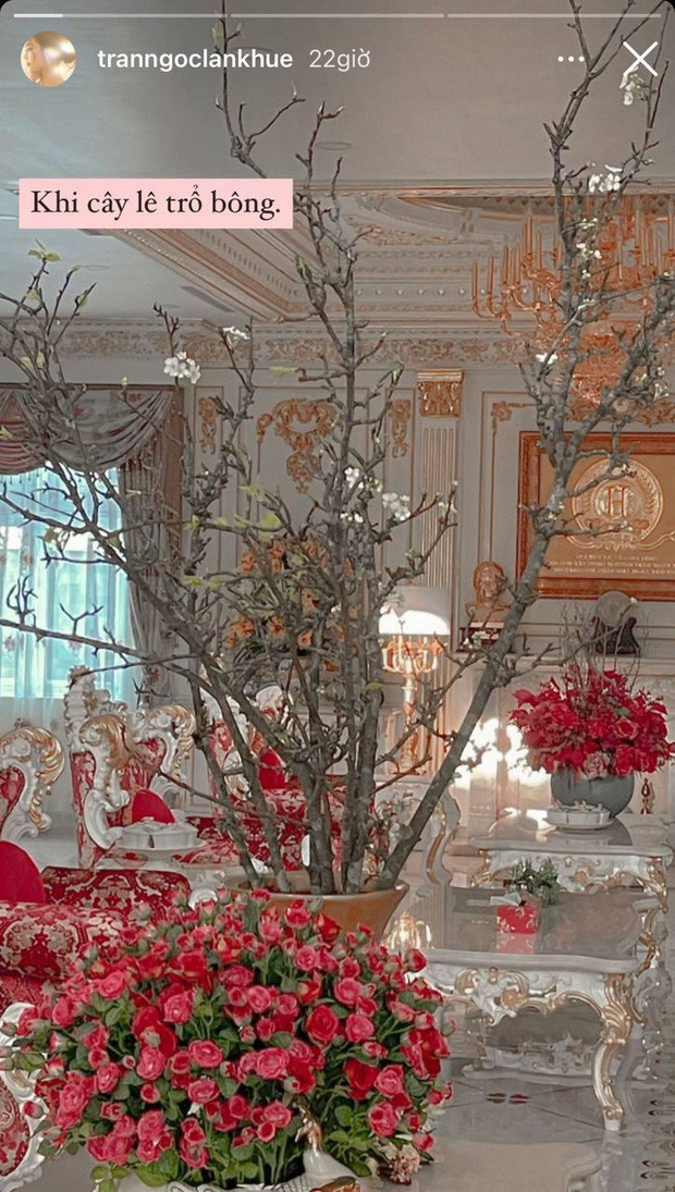 Lan Khuê khoe một góc phòng khách.