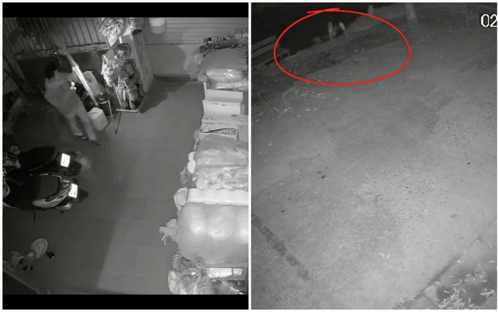 Giữa đêm nghe tiếng động lạ, chủ nhà cầm gậy kiểm tra rồi chạy thục mạng, xem lại camera vẫn 'đau tim' Ảnh 2