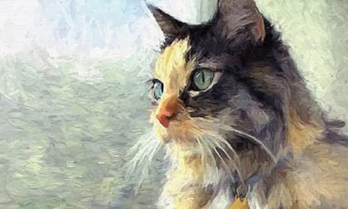 Phụ nữ thuộc 4 con giáp này có số mệnh vượng phu ích tử, càng có tuổi càng may mắn hạnh phúc Ảnh 4