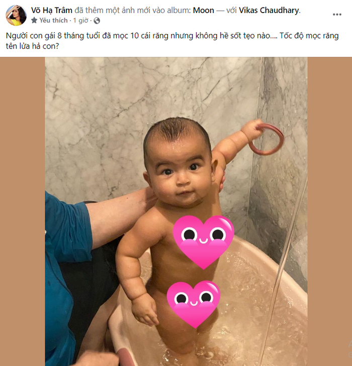 Chia sẻ của Võ Hạ Trâm.