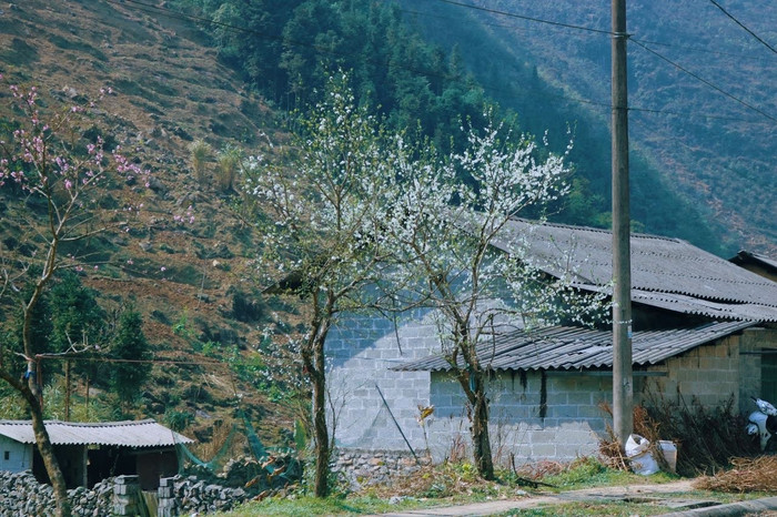 Có một Hà Giang đẹp mơ màng qua ống kính của chàng trai trẻ Ảnh 5