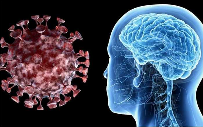Phát hiện di chứng có thể xảy ra với não người mắc Covid-19 dù ở thể nhẹ Ảnh 2
