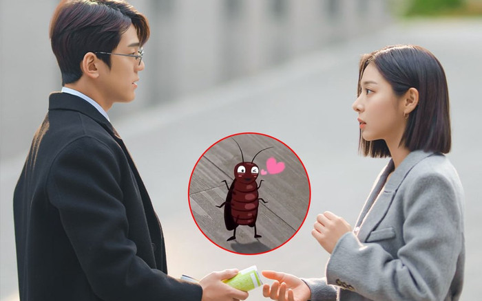 Hẹn Hò Chốn Công Sở: Mối tình của cặp đôi phụ được se duyên bởi... một chú gián Ảnh 2