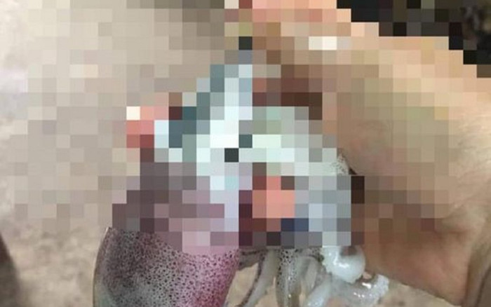 Mua mực được 'khuyến mãi' thêm thứ này, tưởng hời nhưng hóa ra là chiêu trò của các tiểu thương Ảnh 2