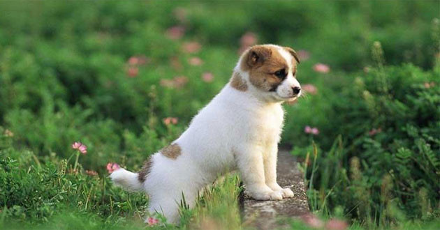 4 con giáp này có nghị lực hơn người, sớm muộn gì cũng làm nên đại sự, giàu sang phú quý Ảnh 5