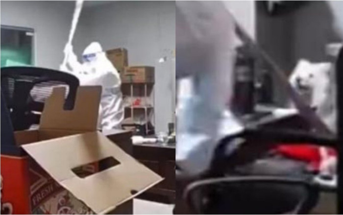 Nhân viên y tế dùng gậy đánh chết chó khi chủ đi cách ly, camera ghi lại cảnh tượng phẫn nộ Ảnh 2