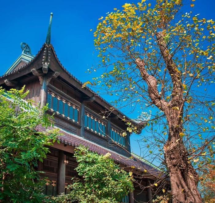 Một góc check in tuyệt đẹp ở Bái Đính tưởng đang lạc bước giữa xứ sở Kim Chi Ảnh 6