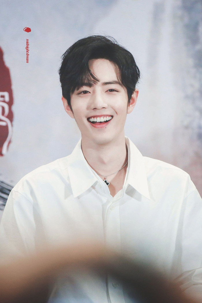 Tiêu Chiến lập kỷ lục với 100 tỷ view trên Tiktok: Sao Hoa Ngữ hot nhất hiện nay là đây! Ảnh 5