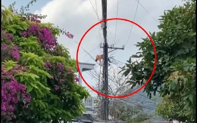 Nam thợ điện gặp tai nạn nghề nghiệp, hình ảnh hiện trường khiến người dân khu phố hoảng loạn Ảnh 2