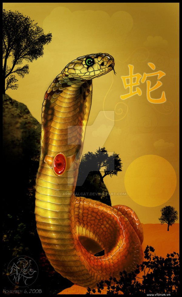 Tử vi hôm nay thứ 5 ngày 17/3/2022 của 12 con giáp: Tỵ bị tiểu nhân quấy phá gây thất thoát tài chính Ảnh 5
