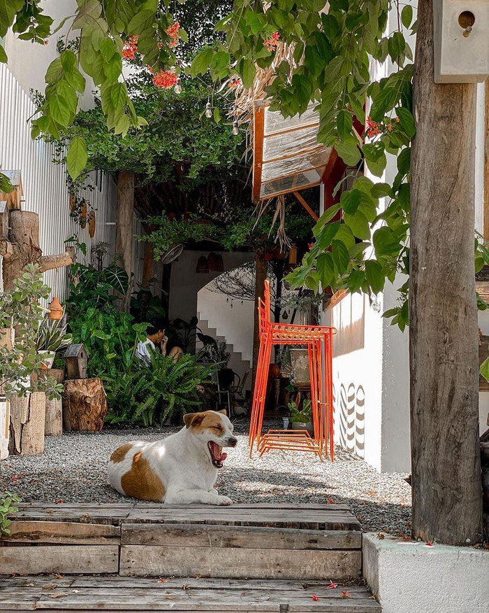 Quán cà phê đẹp như tranh chỉ mất 8 giây 'đốn' trăm triệu tim trên Intagram ở đâu Hội An? Ảnh 8