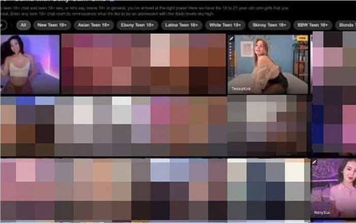 Nghỉ giải lao quên tắt Zoom, nam giảng viên lộ toàn hình ảnh gây sốc đến xấu hổ Ảnh 2