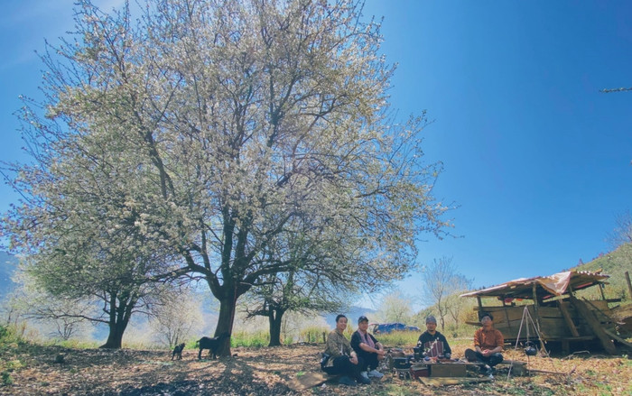 Hoa sơn tra bung nở trắng xóa trên các đỉnh đồi ở Sơn La Ảnh 12