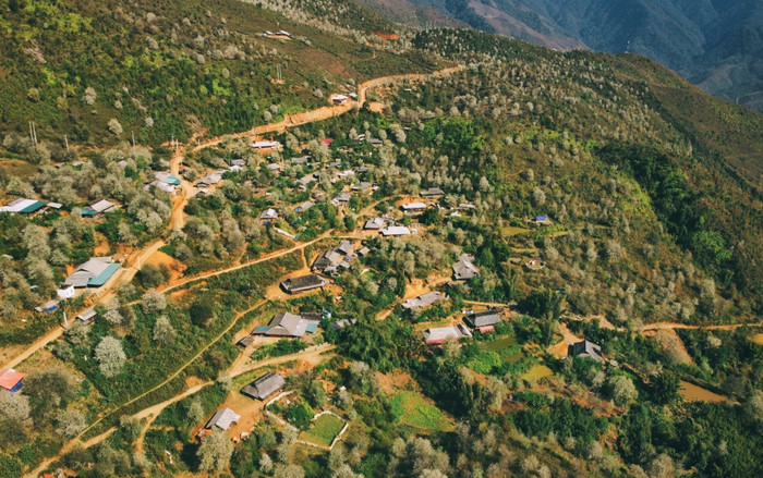 Hoa sơn tra bung nở trắng xóa trên các đỉnh đồi ở Sơn La Ảnh 3