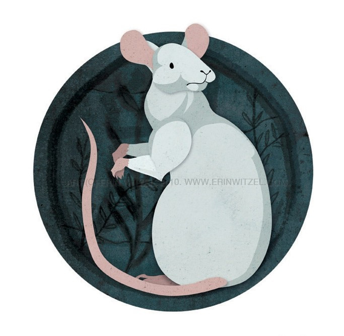 Tử vi hôm nay thứ 7 ngày 19/3/2022 của 12 con giáp: Tý cẩn thận thị phi đeo bám Ảnh 3