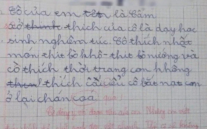 Bài văn 'bóc phốt' cô giáo không chút tiếc thương và lời phê gây chú ý Ảnh 2
