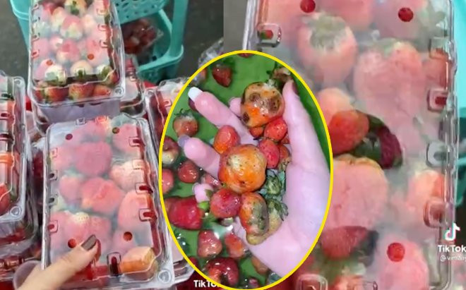 Hào hứng vào chợ Đà Lạt mua dâu, trở về nhà cô gái 'sốc nặng' trước hành vi gian dối của người bán Ảnh 2