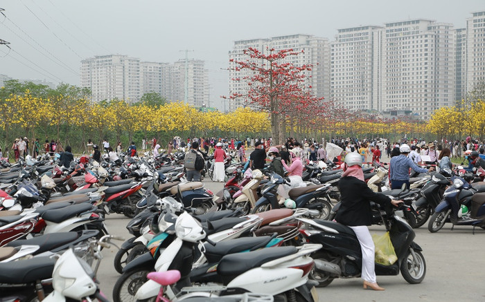'Biển người' kéo về con đường hoa đẹp tựa trời Âu 'hot' nhất Hà Nội Ảnh 2
