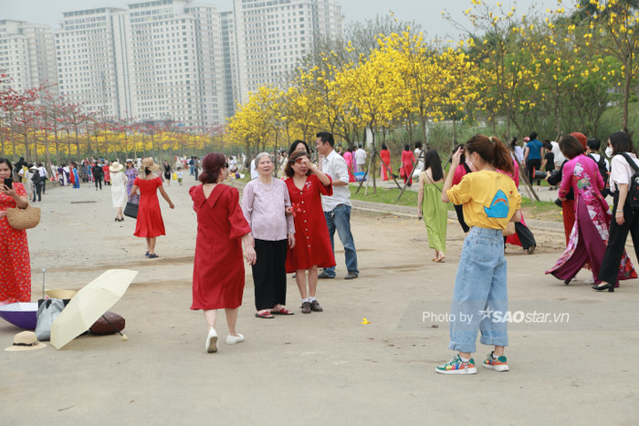 Nhiều gia đình tranh thủ đến chụp ảnh.