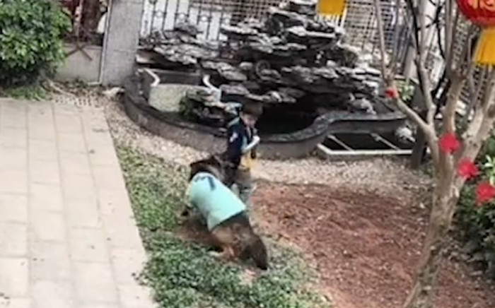 Thấy 2 đứa trẻ làm rơi quả bóng xuống bể nước, chú chó có hành động khiến chủ nhà không thể tin vào mắt Ảnh 2