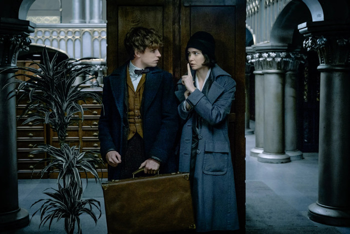 Newt Scamander (Eddie Redmayne) & Tina Goldstein (Katherine Waterston).