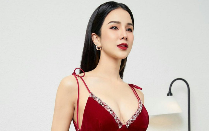 Diệp Lâm Anh mệt mỏi vì drama giật chồng náo loạn Vbiz Ảnh 2