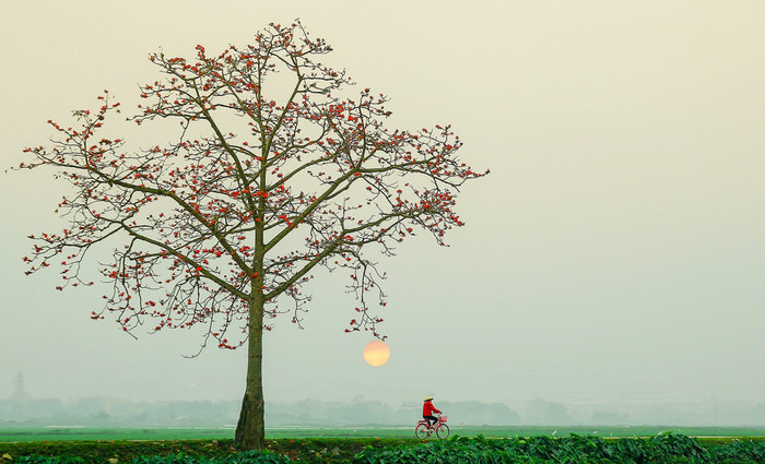 Hình ảnh khiến biết bao trái tim phải xuyến xao vì đã đỗi bình yên, êm ả. (Ảnh: Vũ Ngọc Thiện - Checkin Việt Nam) 