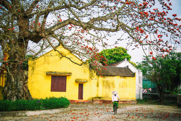 Vẻ đẹp bình dị, mộc mạc mà rất đỗi nên thơ. (Ảnh: Vũ Ngọc Thiện - Checkin Việt Nam) 