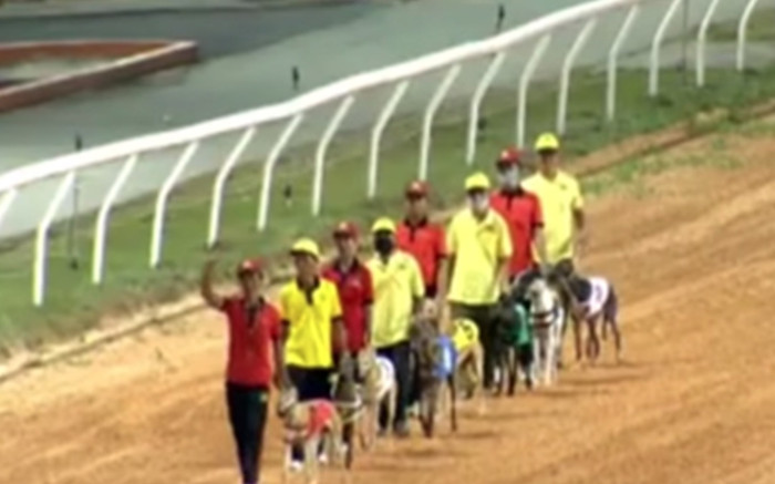 Lấy tên người đặt cho 'chó, ngựa' tại Đại Nam liệu có vi phạm luật? Ảnh 2