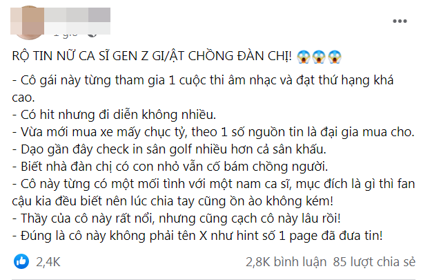 Thông tin chia sẻ về ca sĩ Gen Z giật chồng.