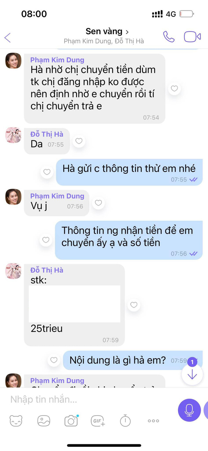 Đỗ Thị Hà lên tiếng về vụ việc bị lừa đảo chuyển tiền Ảnh 2