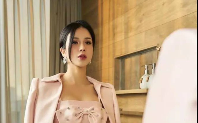 Bị khuyên 'để 2 con lại cho nhà chồng', Diệp Lâm Anh phản ứng gay gắt Ảnh 2