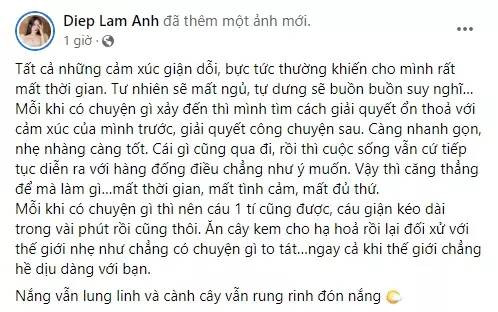 Bị khuyên 'để 2 con lại cho nhà chồng', Diệp Lâm Anh phản ứng gay gắt Ảnh 2