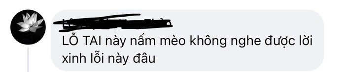 Fan không quên khịa Lương Mỹ Kỳ khi nhắc đến 'lỗ tai nấm mèo'.